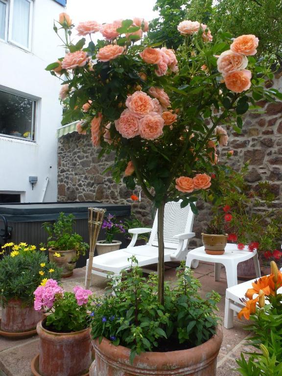 Bayview Guest House Saint Helier Екстер'єр фото