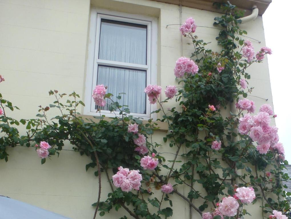 Bayview Guest House Saint Helier Екстер'єр фото